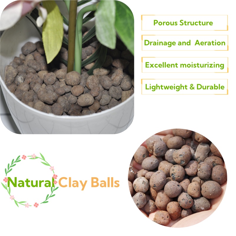 Clay Pebble Growing - 2L/1L オーガニック粘土ボール、花用基質排水用エキスパンドクレイ、水耕栽培植木鉢、蘭、排水アクアポニック