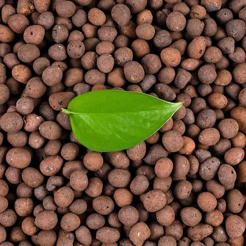 1LB 再利用可能な水耕粘土小石 天然水耕栽培粘土小石 軽量 - Clay Pebble Growing のレビューと価格