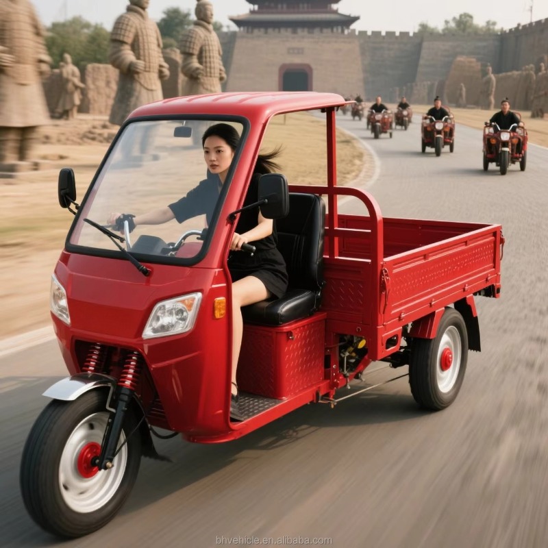 倉庫出荷済みオープンキャブ電動貨物三輪車、500KG積載、都 - Urban Farming And Rural Farming のレビューと価格