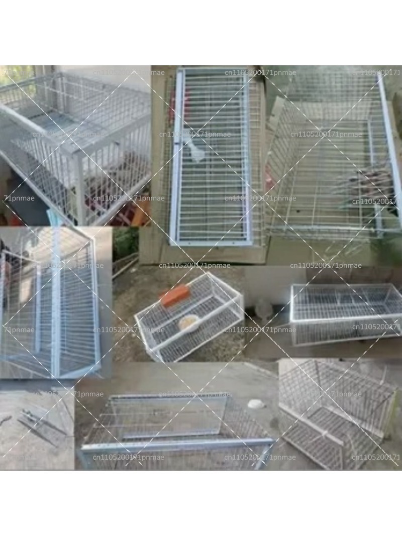 プロ仕様多機能鳥・鳩捕獲ケージ（庭、農場、都市害鳥対策用） - Urban Farming Gardening のレビューと価格